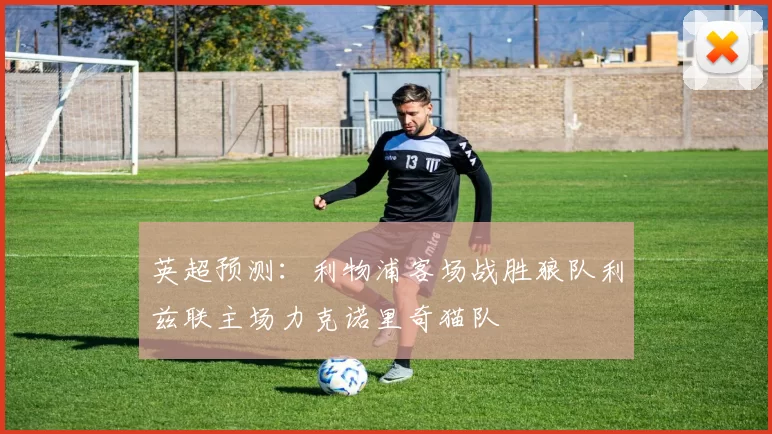 英超预测：利物浦客场战胜狼队利兹联主场力克诺里奇猫队