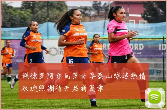 佩德罗阿尔瓦罗分享泰山球迷热情欢迎照期待开启新篇章